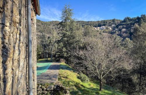 La Grossille Mas avec piscine - Foto 28