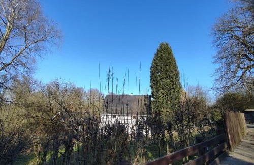 Kastanie im Neandertal - Foto 6