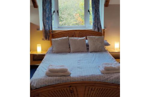 Gaer Hall Guilsfield a country mansion with hottub - Foto 37