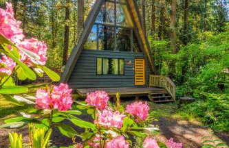 Modern A-Frame Cabin in the Woods - Foto 12