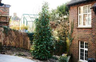 Tiny Cottage with Terrace & Parking, Central Lewes - Foto 22