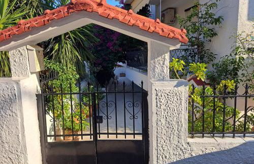 ARTEMIS and FILLO - Photo 3