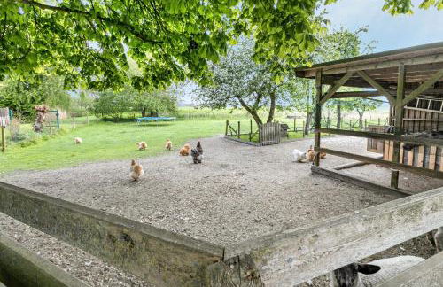 Das Deichhaus - Foto 7