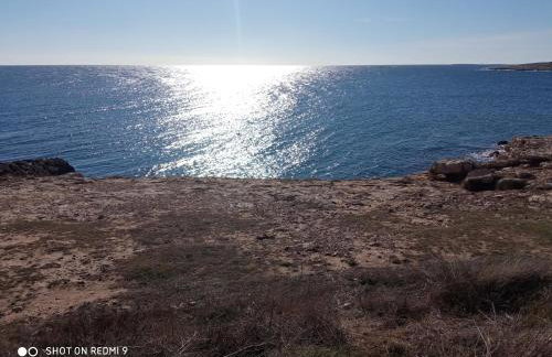 Mala kuća sa velikim grijanim bazenom ANTONIO - Foto 47