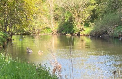 Wester Campsie Farm House - Foto 16