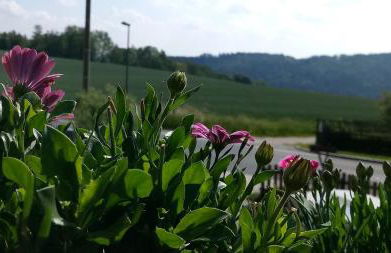 Klein aber fein - Apartment für 2 bis 4 Personen - Foto 23