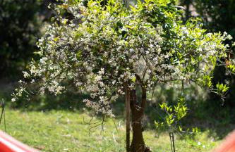 Resonance Experience - Villa Escape Surrounded by Nature & Ancient Sites - Photo 68