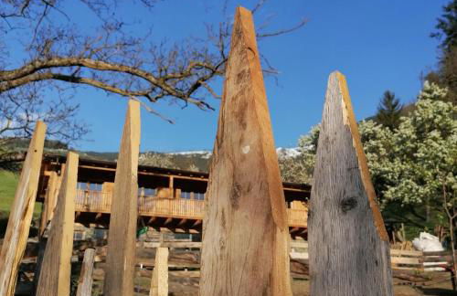 NEUE Ferienwohnungen auf dem Gebreitnerhof, Urlaub auf dem Bauernhof - Photo 63