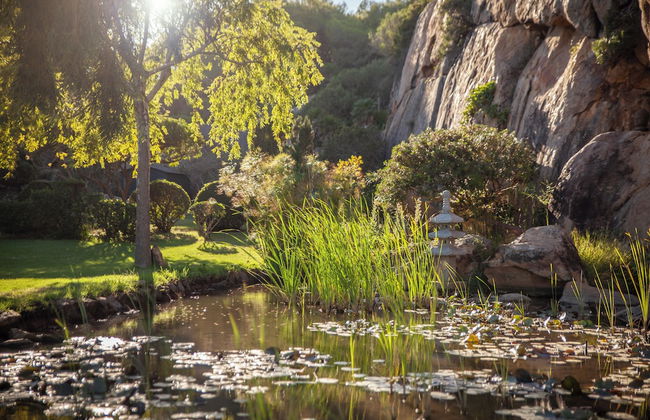 Love Garden - Photo 76