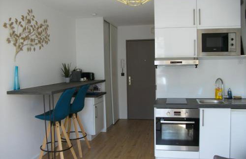 "Monplaisir", parking, canapé-lit neuf confortable, idéal voyages d'affaires et tourisme, proximité commerces, gare, Université Lyon 3 , Tram T2, T4 et C25 - Photo 11