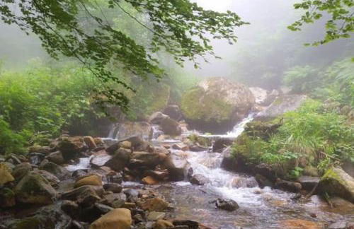 Charmante maison de montagne - Foto 20