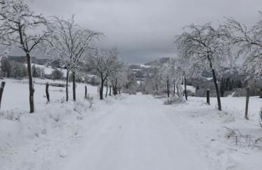 Ferienwohnung Emma - Photo 36