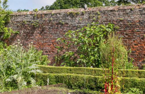 Bella's Cottage - Photo 27