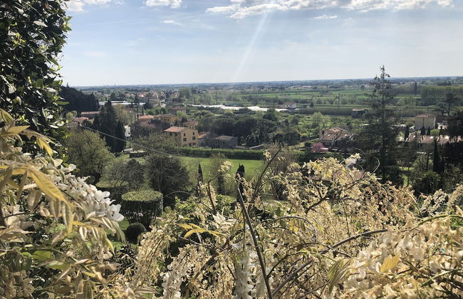 Villa Alta - Photo 54