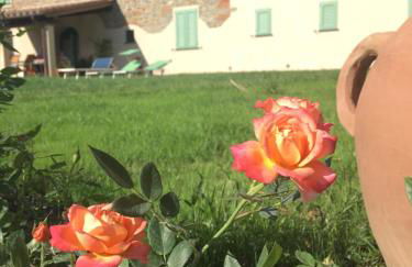 Agriturismo La Casina nel Vigneto - Foto 15