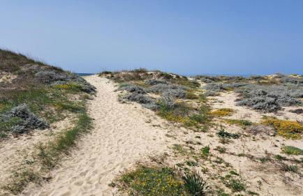 Villa Giò Geremeas fronte mare - Foto 65