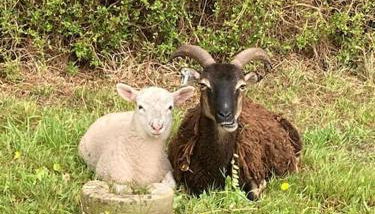 Light & Airy Vaulted Barn Conversion with a View - Photo 5