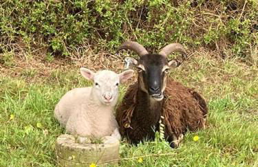 Light & Airy Vaulted Barn Conversion with a View - Photo 5