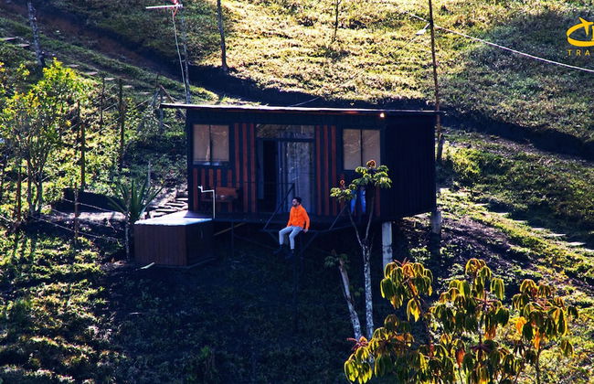 Hotel Selva Negra - Photo 37