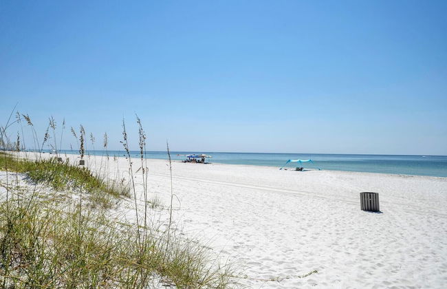 The Palms A6 - Foto 38