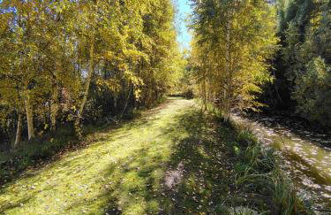 Kolorowe Wzgórze Zagórze - Foto 55