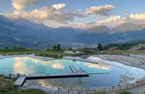 L'Ecrin des Myrtilles - Appartement cosy - Piscine et vue montagne - Alpes - Val d'Arly - Aravis et Beaufortain - Foto 65