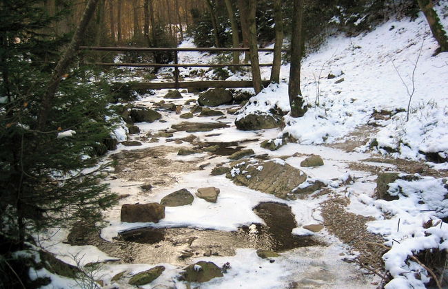 Le Baron Apartments - Photo 40