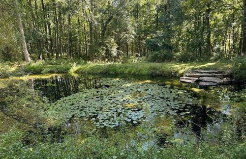 Historic Farm on 96 Acres! - Foto 28