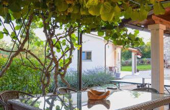 House Toni 1102 - Foto 6