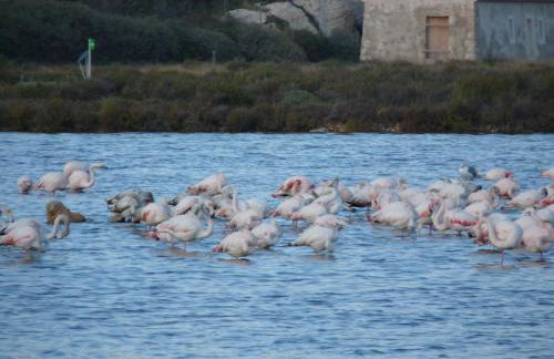 appartement de la callade - Foto 19