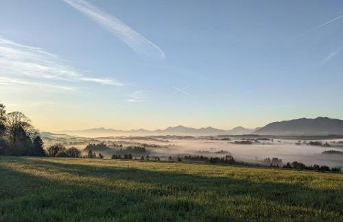 Ferien beim Baur - Foto 29