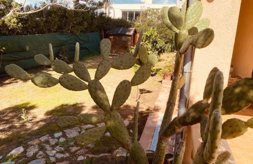 Casa dos Calas - Foto 19