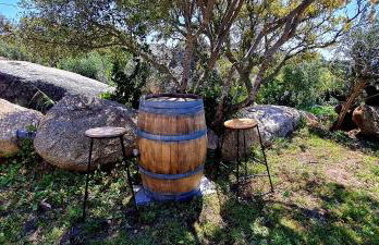 Bergerie A Sapara - Foto 22