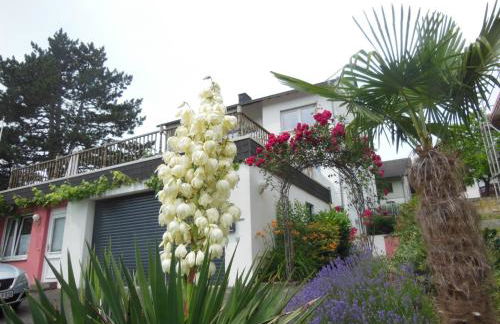 Julia's Mosel Villa Appartement JULIA - Foto 18