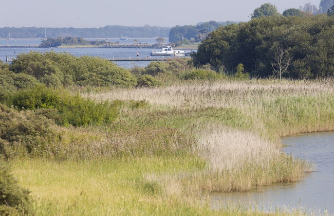 Luxurious Villa With a Jetty, Close to Veerse Meer - Foto 21
