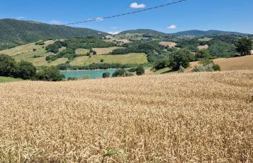 Agriturismo La Corte Sul Lago - Foto 21