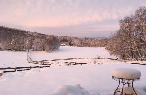 Ferienwohnung-Ferienhaus am Picho - Foto 12