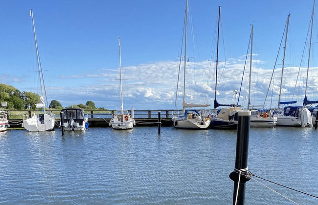 Ostseekrabbe - Foto 27