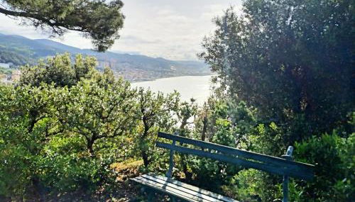 Villa D'Albertis - Photo 4