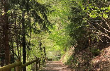 Chalet la Cabane d'Ernestine, petit-déjeuner inclus - Foto 28