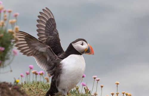 Lindisfarne View - Foto 23