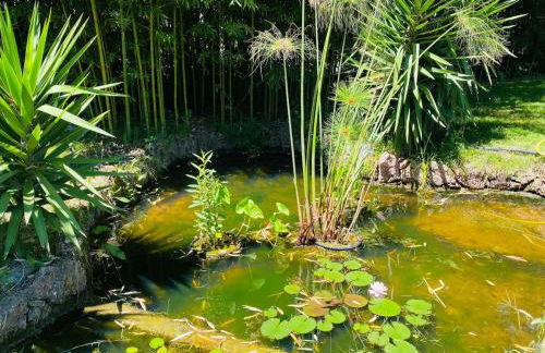 Villa alle Rane - Lake, Beaches and Art in Tuscany - Foto 64