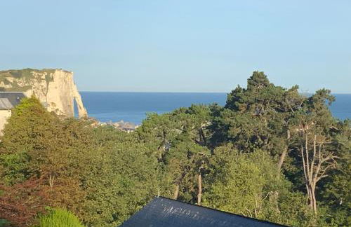 Villa Panorama, vue Mer et Falaises d exception - Foto 5