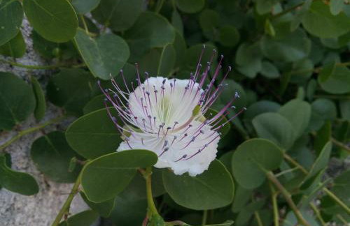 Sunset Apartments - Foto 75