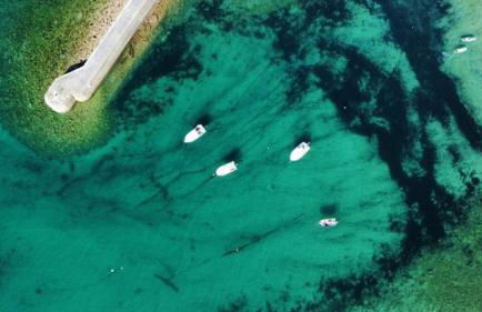 Le 101 - Plage du Dossen à Santec à 1.5 km - Foto 22