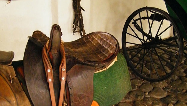 Hacienda el Paraíso y Museo de la Caña de Azúcar - Tour privado - Foto 4