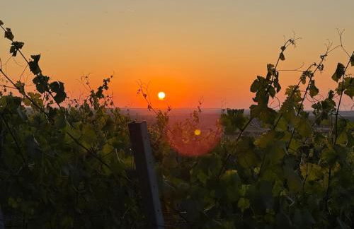 Panorama 180 - Foto 64