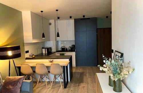 Uroczy Apartament 38 m2 Tychy, Śląskie Ogrody - Foto 2