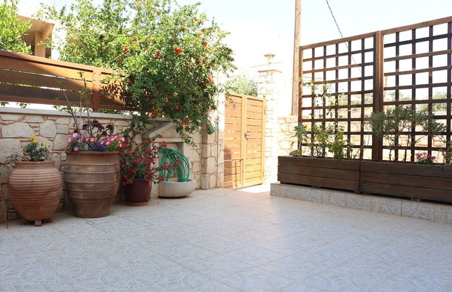 Helianthus - Foto 12