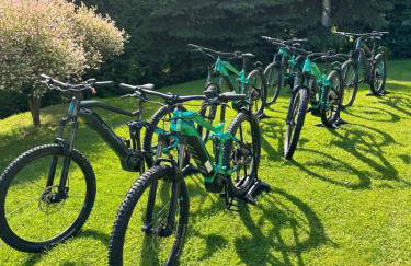 Mr. Sowa Sokolec - Foto 49